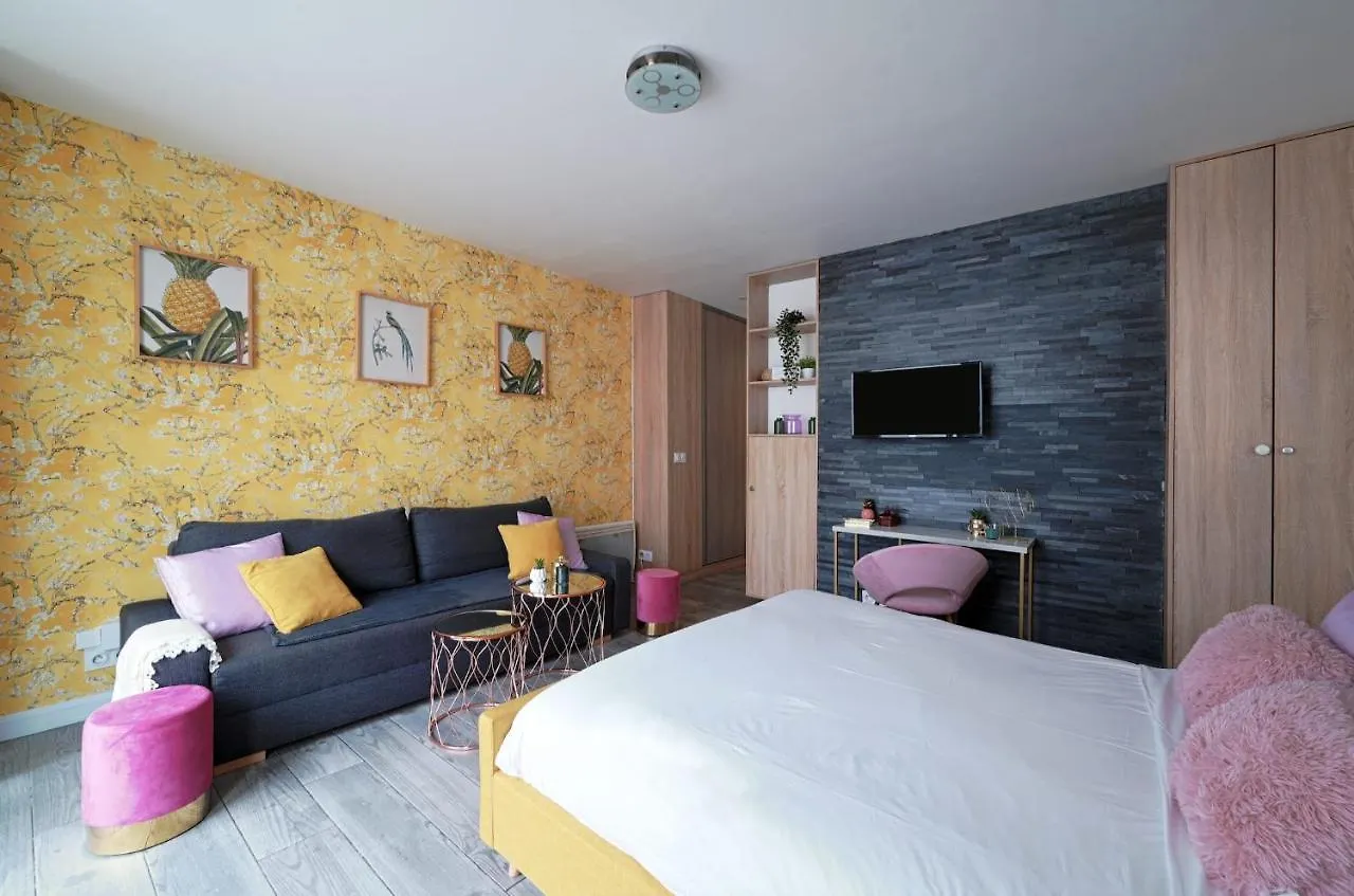 La Vie En Rose Modern Fresh Studio - Francois Mitterand Library Apartment Paris