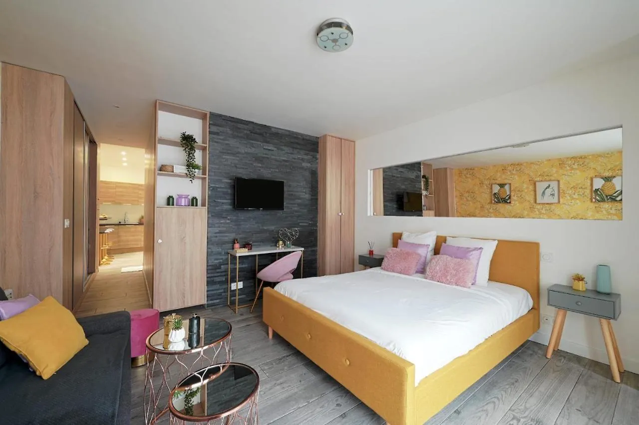 La Vie En Rose Modern Fresh Studio - Francois Mitterand Library Apartment Paris