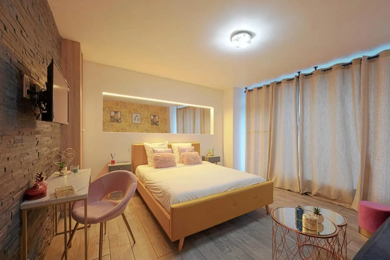 La Vie En Rose Modern Fresh Studio - Francois Mitterand Library Apartment Paris