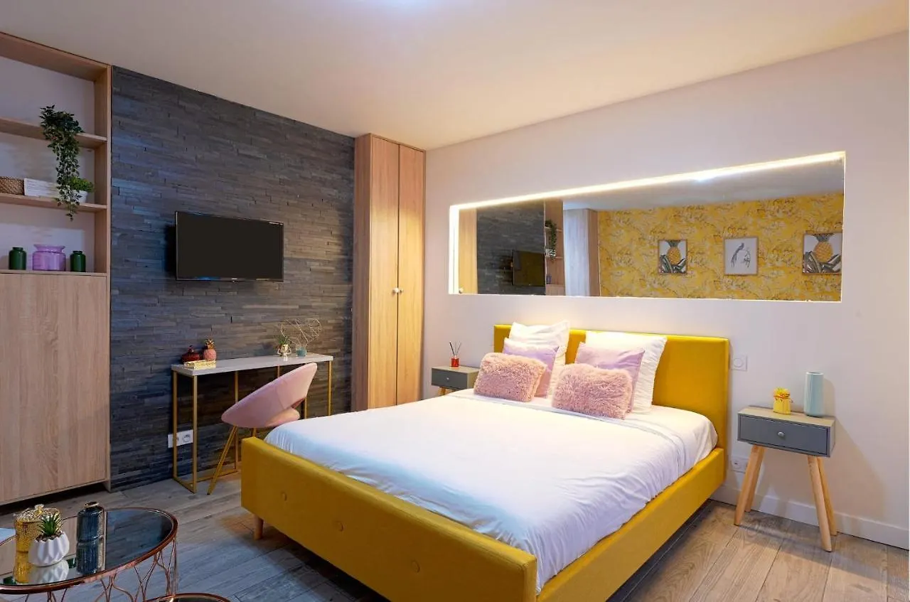 La Vie En Rose Modern Fresh Studio - Francois Mitterand Library Apartment Paris France
